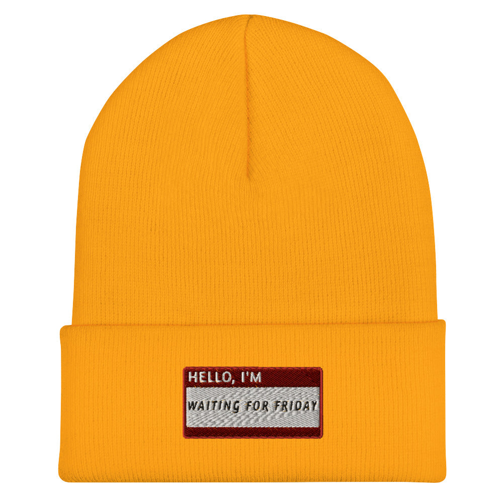 HELLO I'M WAITING FOR FRIDAY Beanie